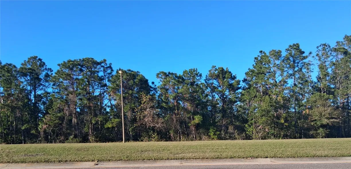 Central Florida Real Estate | View INTERNATIONAL DRIVE