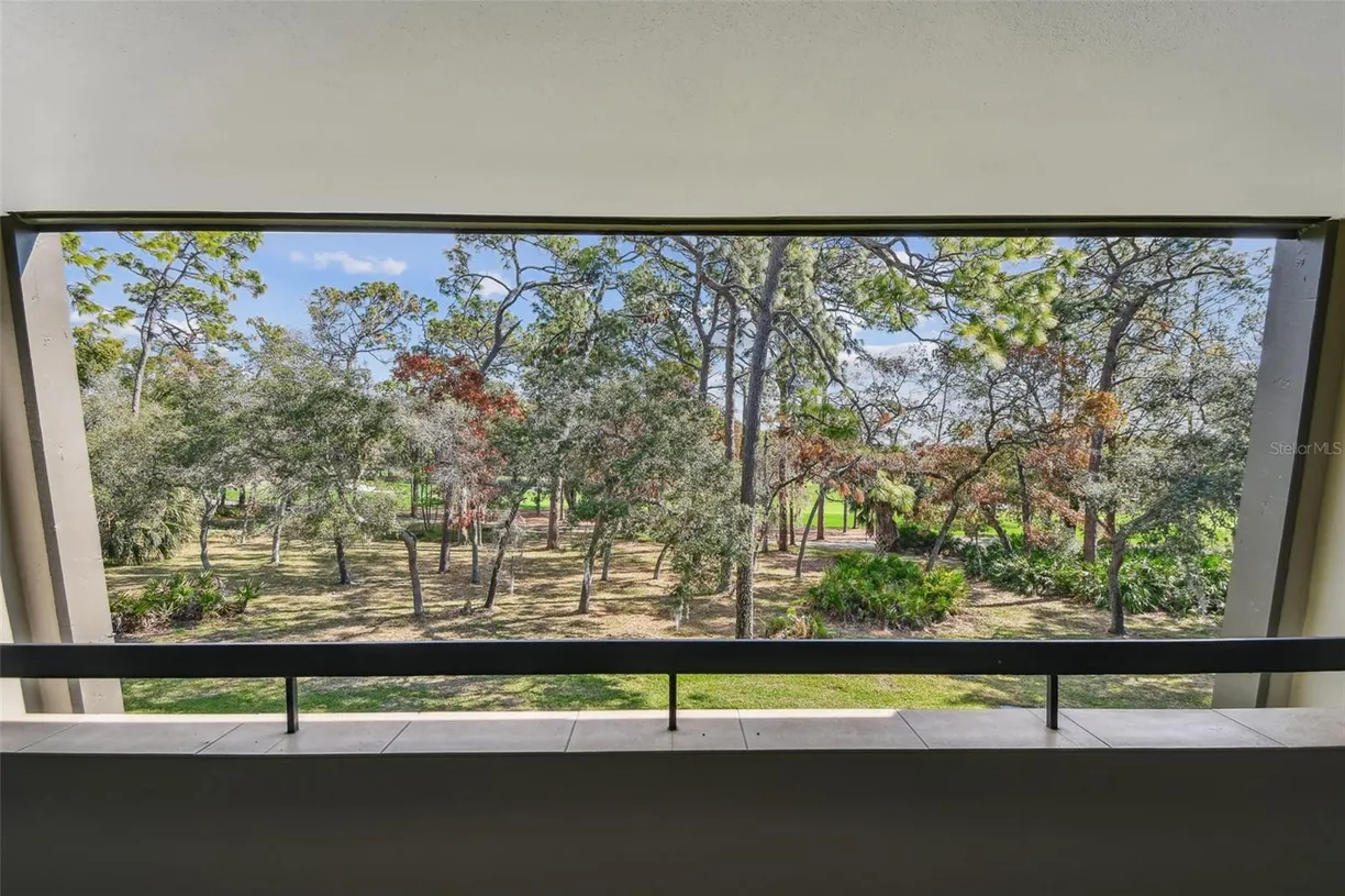 Sarasota/St. Petersburg Real Estate | View 36750 US HIGHWAY 19, 24209 | Listing