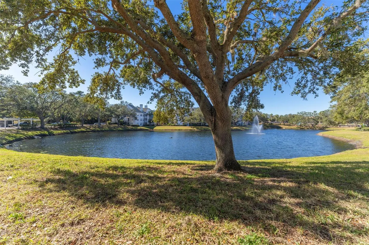 Sarasota/St. Petersburg Real Estate | View 3300 HAVILAND COURT, 303 | Listing
