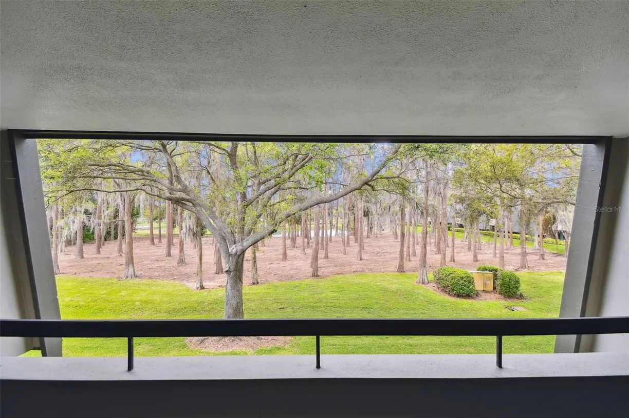 Sarasota/St. Petersburg Real Estate | View 36750 US 19, 06211 | Listing