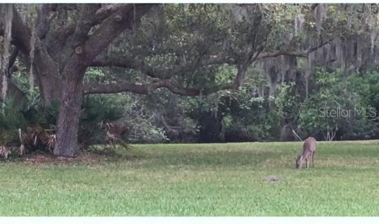 Sarasota/St. Petersburg Real Estate | View 281 CYPRESS LANE | Listing