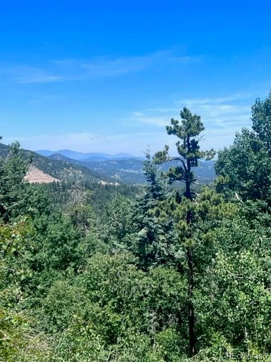 Denver Real Estate | View 20258 Range View Drive