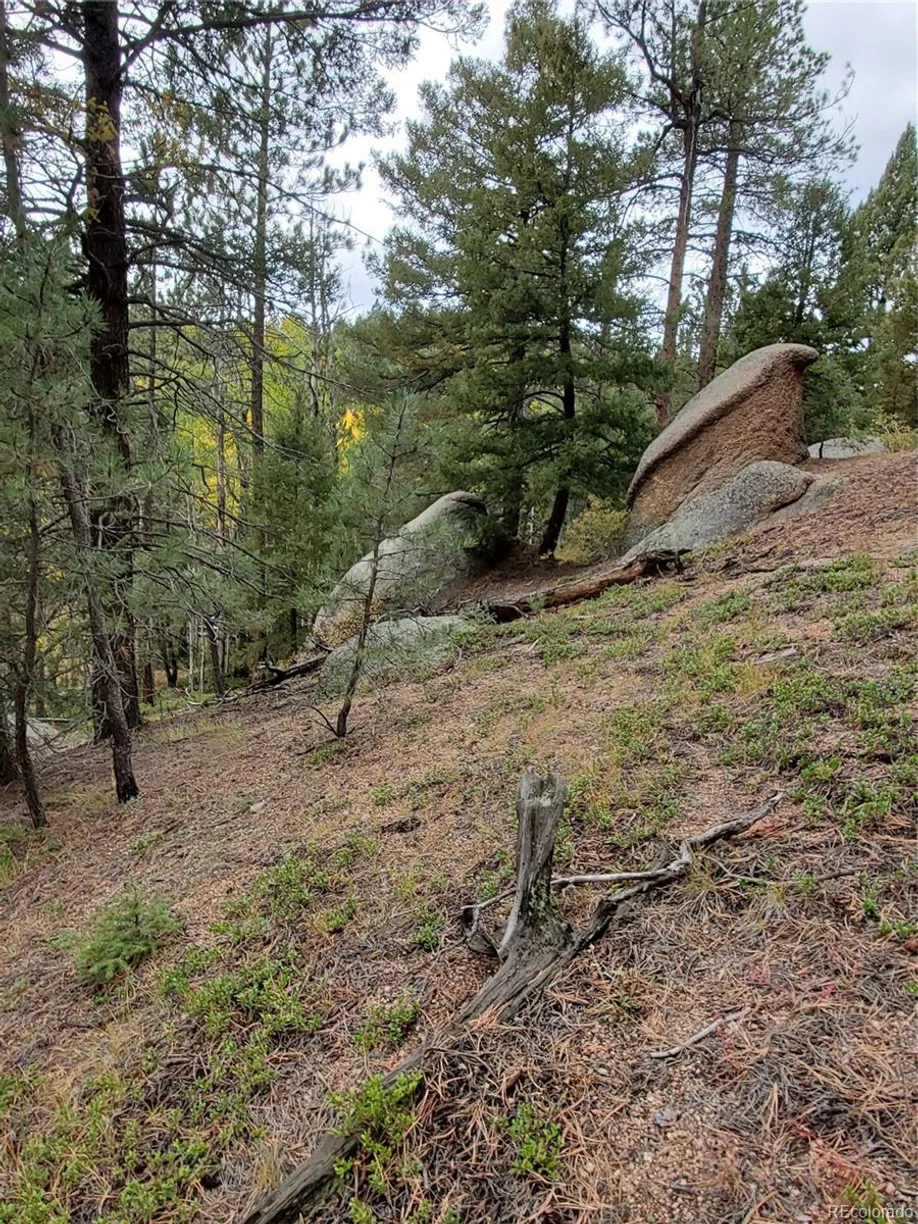Denver Real Estate | View 000 Rampart Range | Listing