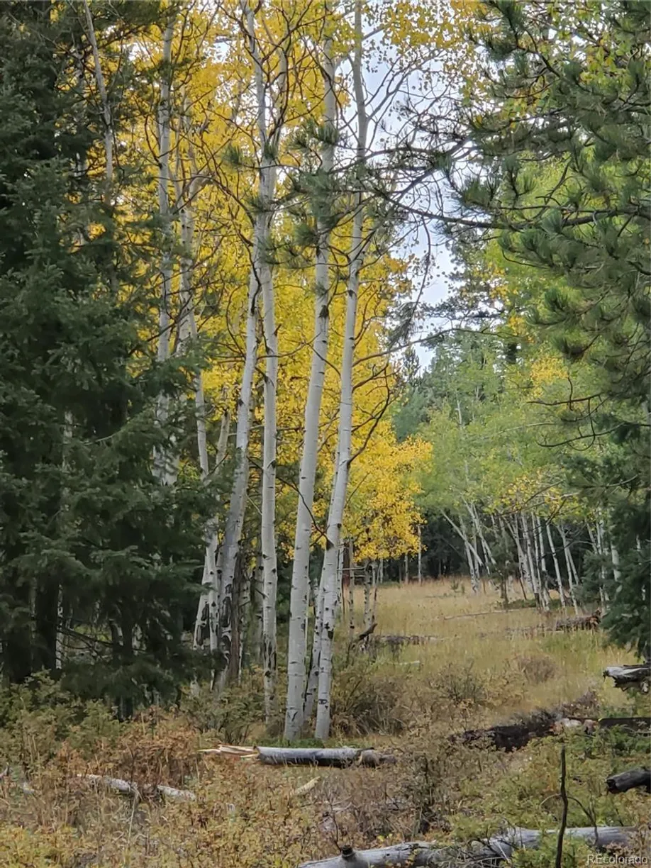 Denver Real Estate | View 000 Rampart Range | Listing