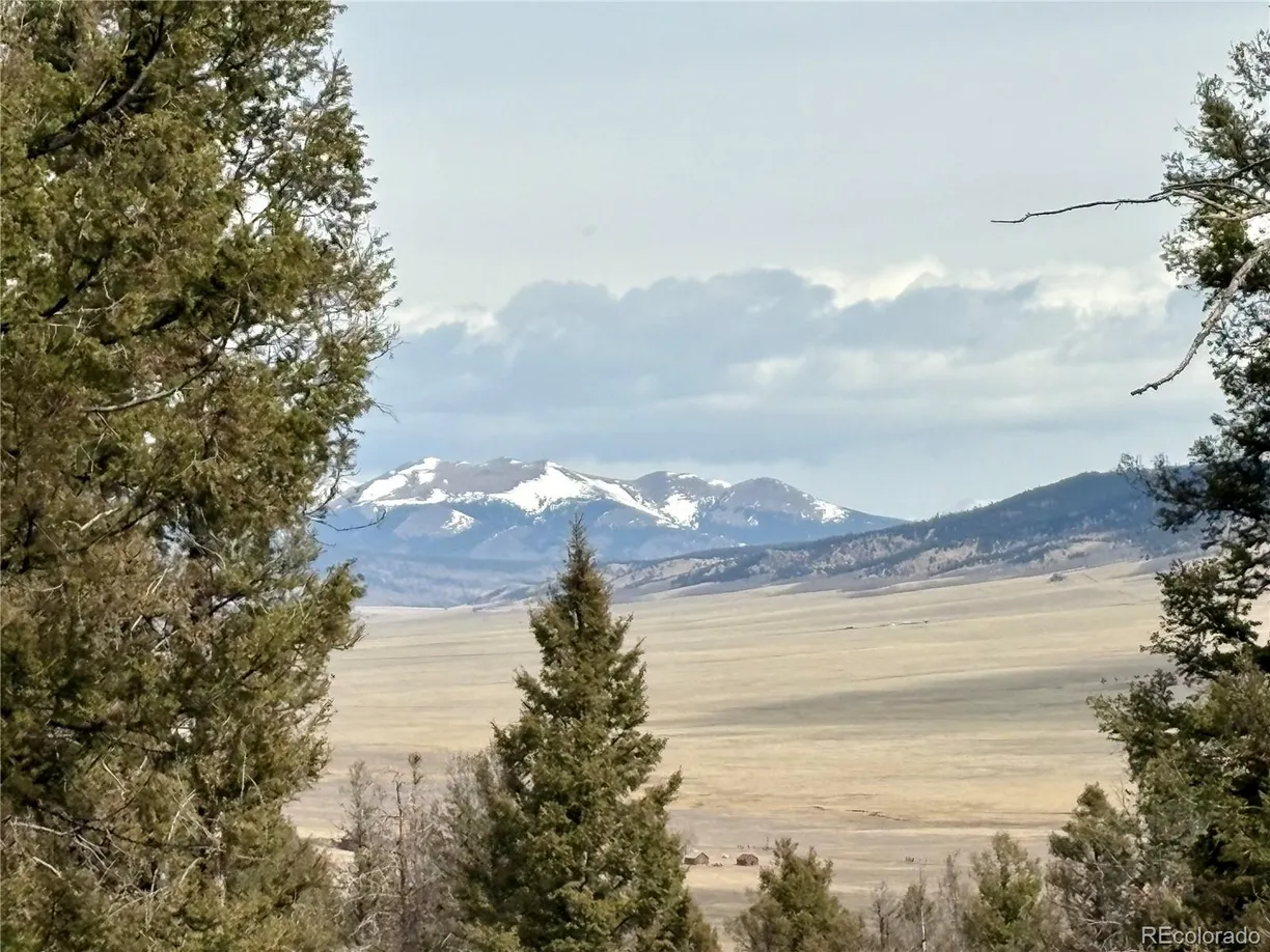 Denver Real Estate | View 1445 Redhill Road