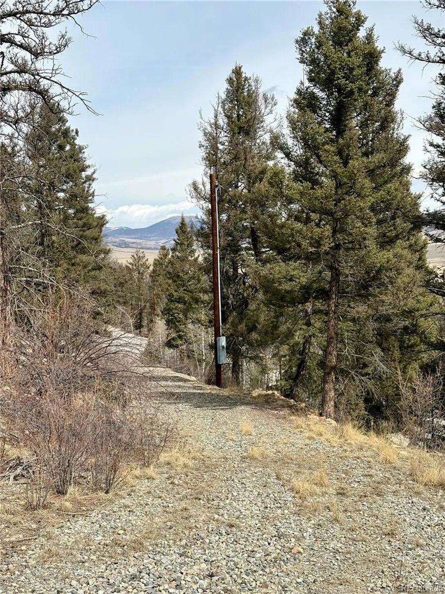 Denver Real Estate | View 1445 Redhill Road | Listing