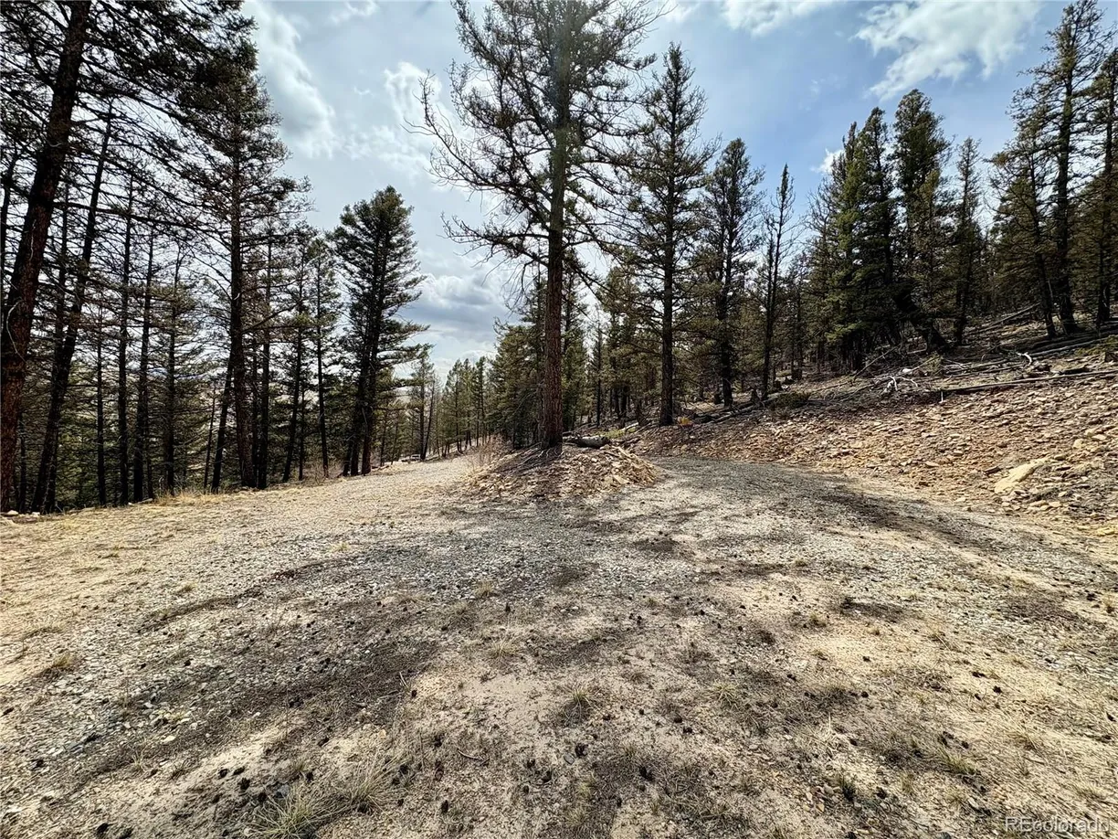 Denver Real Estate | View 1445 Redhill Road | Listing