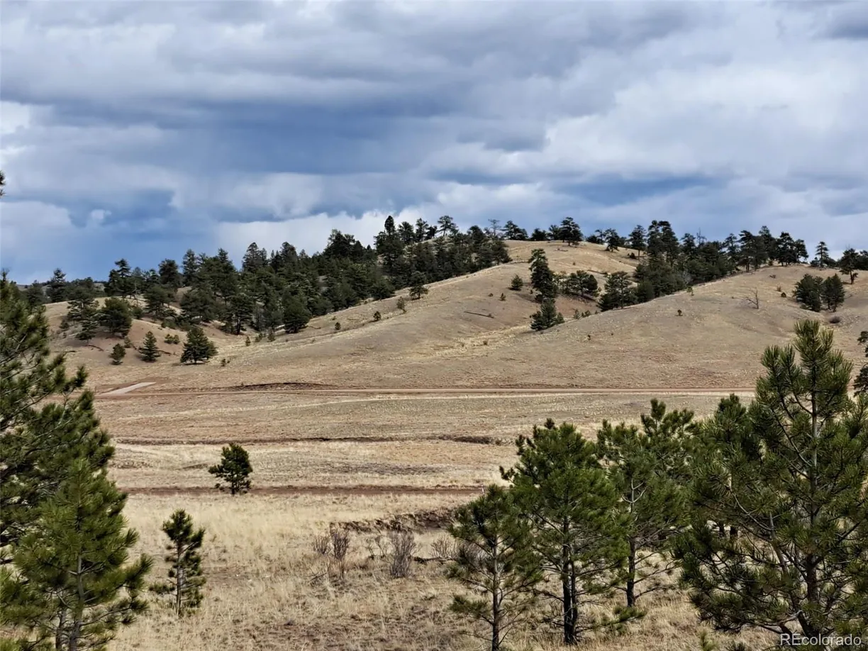 Denver Real Estate | View 00 Black Beaver Road