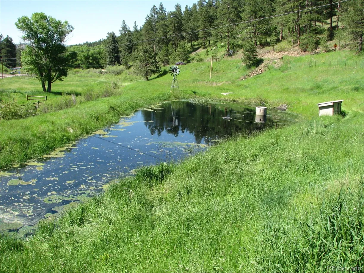 Denver Real Estate | View 7948 S Turkey Creek Road | Listing