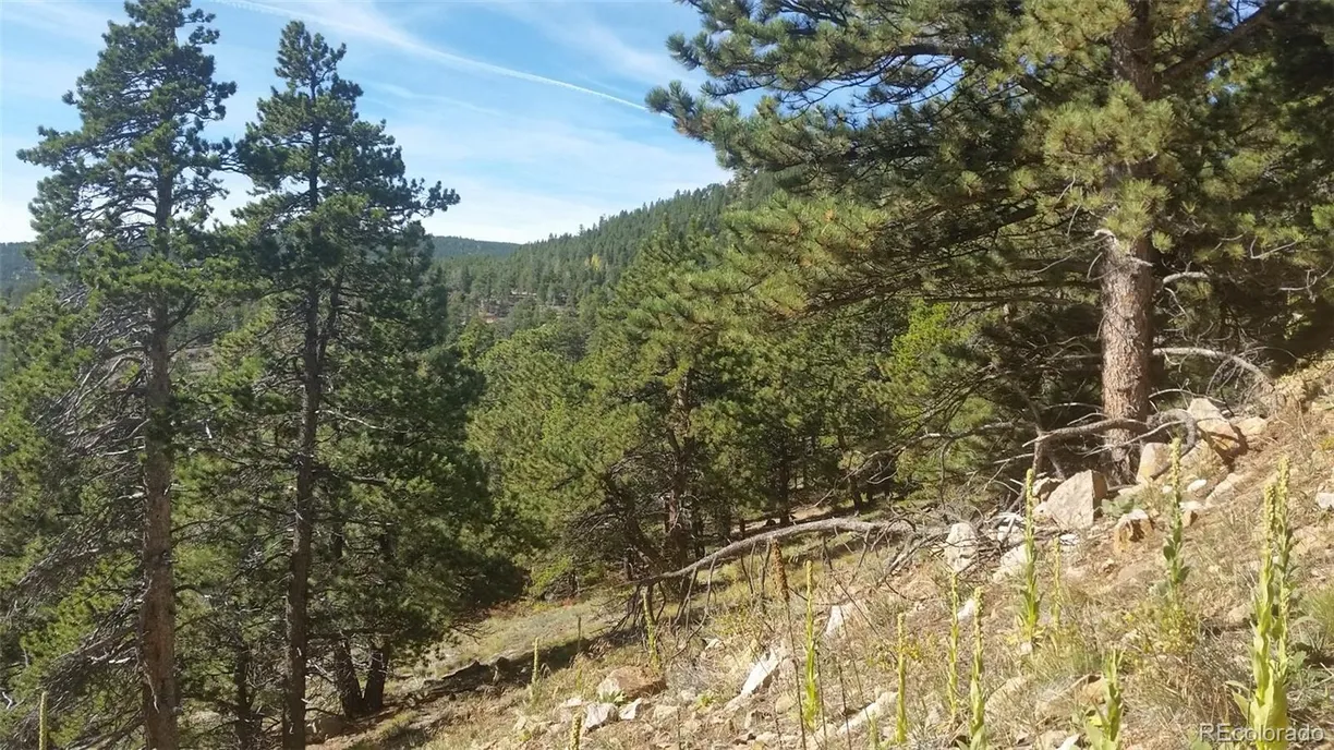 Denver Real Estate | View 32778 Janelle Lane | Listing