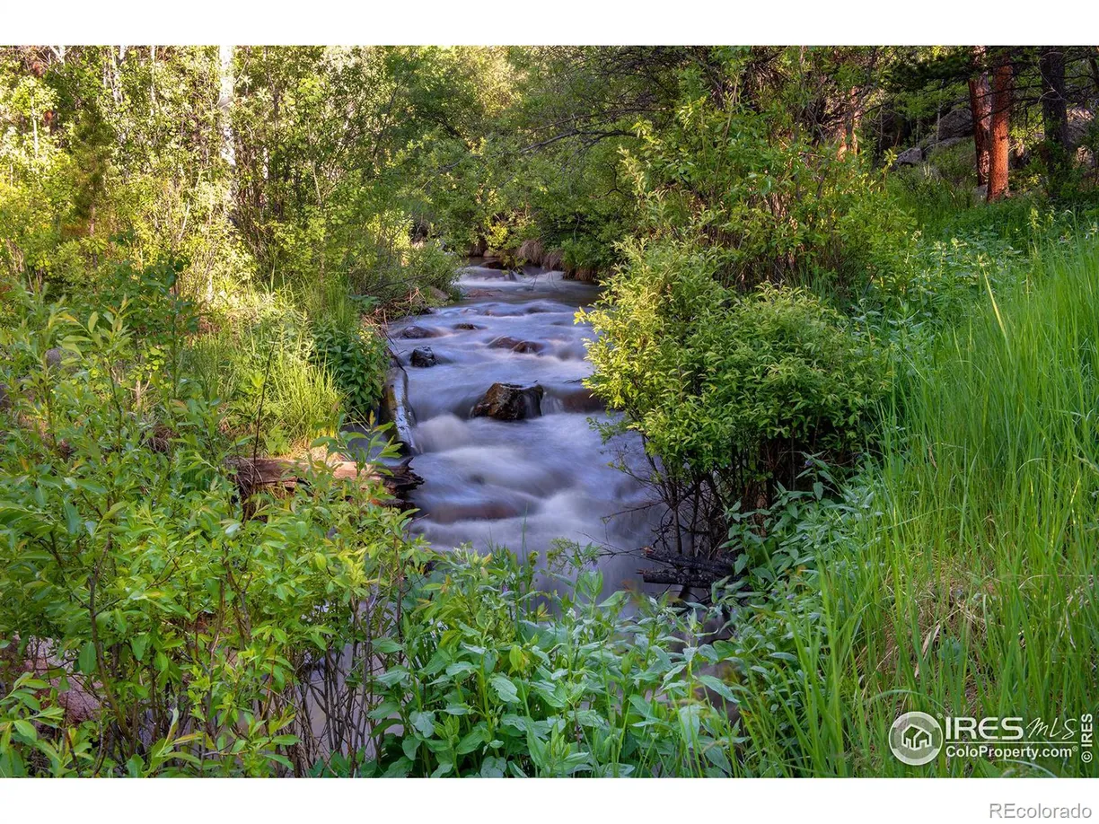 Denver Real Estate | View 1217 Big Owl Road | Listing