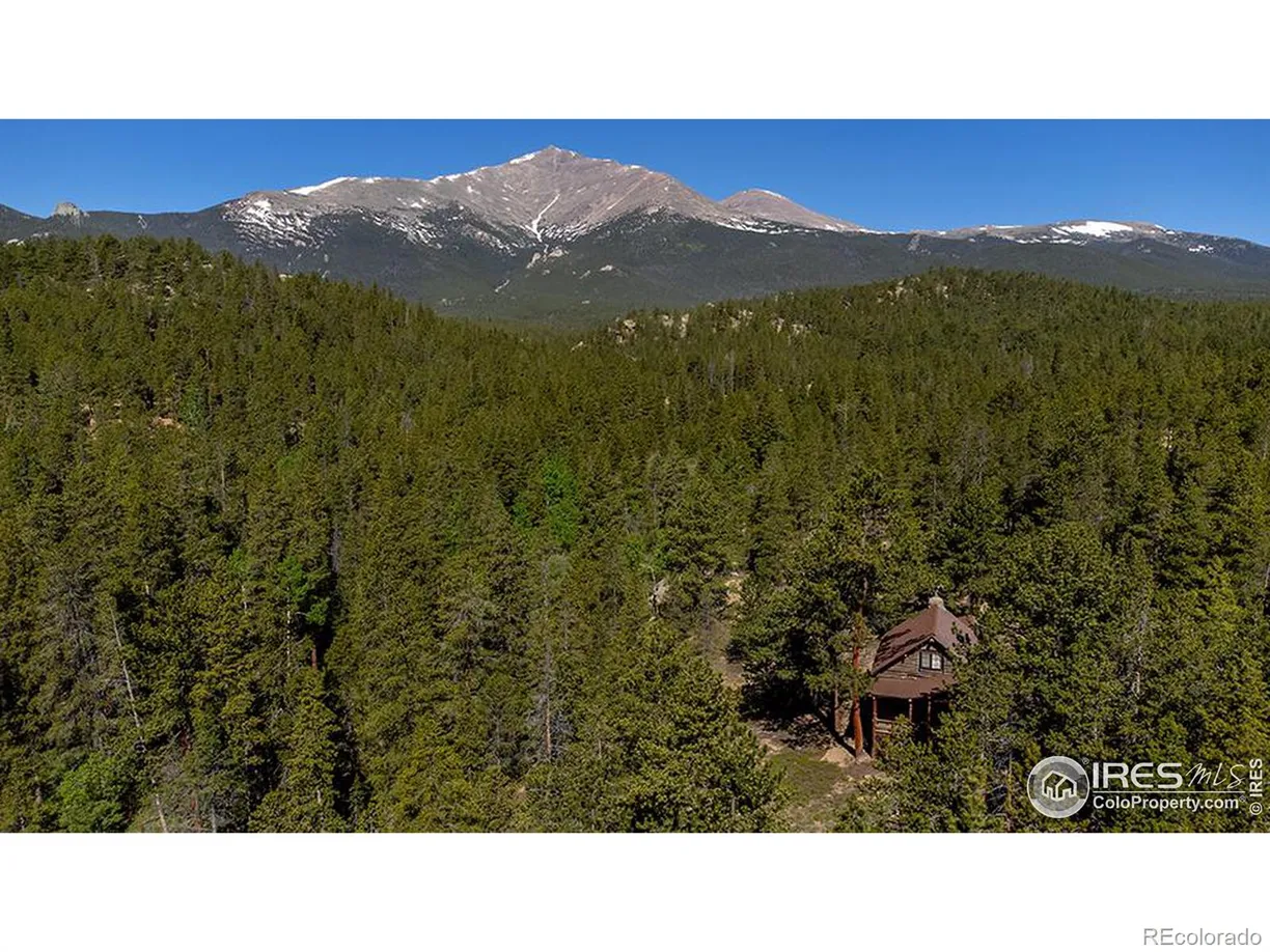 Denver Real Estate | View 1217 Big Owl Road | Listing