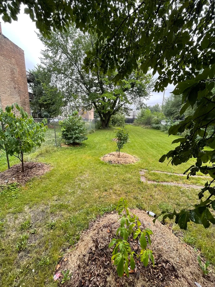 Chicago Real Estate | View 2825 W Monroe Street | Listing