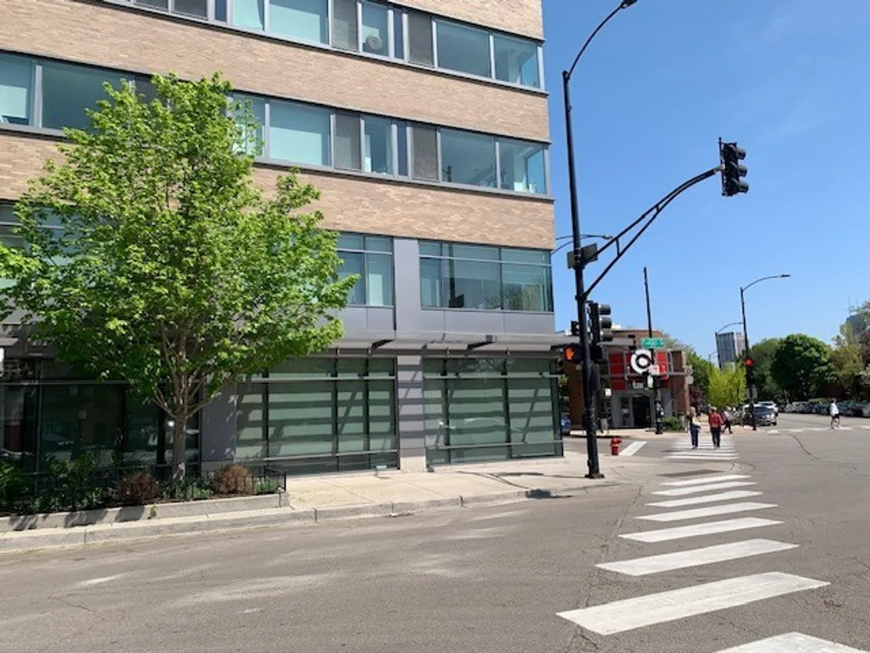 Chicago Real Estate | View 550 W Webster Avenue