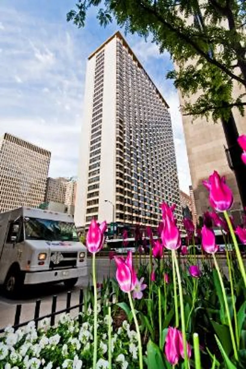 Chicago Real Estate | View 535 N Michigan Avenue, 1601 | 2 Beds, 1 Bath