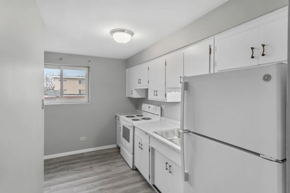 Chicago Real Estate | View 3007 W 87th Street, 9 | Listing