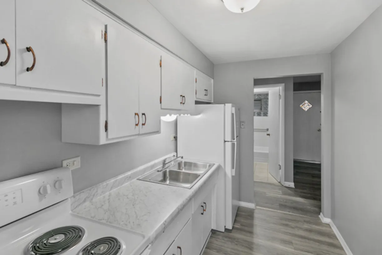 Chicago Real Estate | View 3007 W 87th Street, 9 | Listing