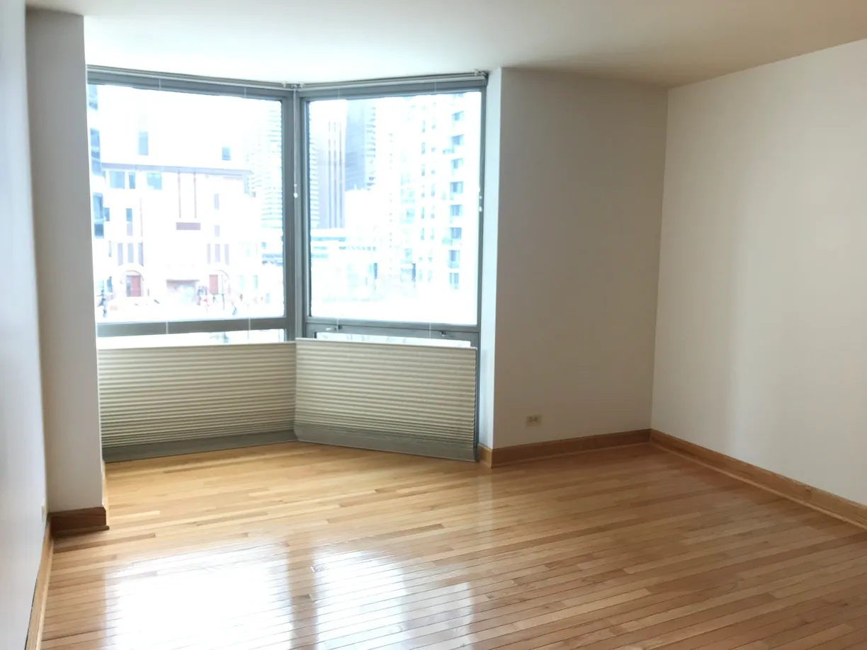 Chicago Real Estate | View 195 N HARBOR Drive, 207 | Listing