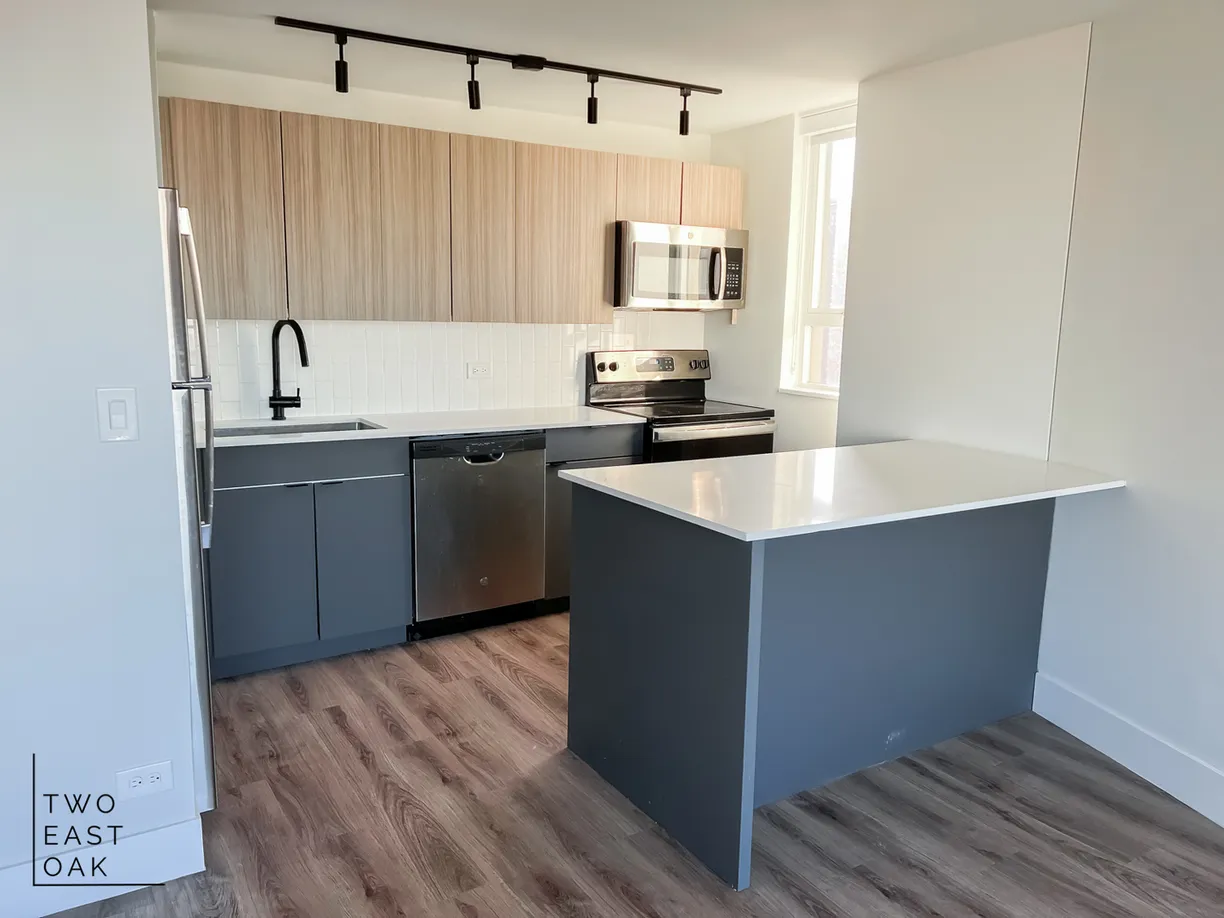 Chicago Real Estate | View 2 E OAK Street, 2002 | Listing