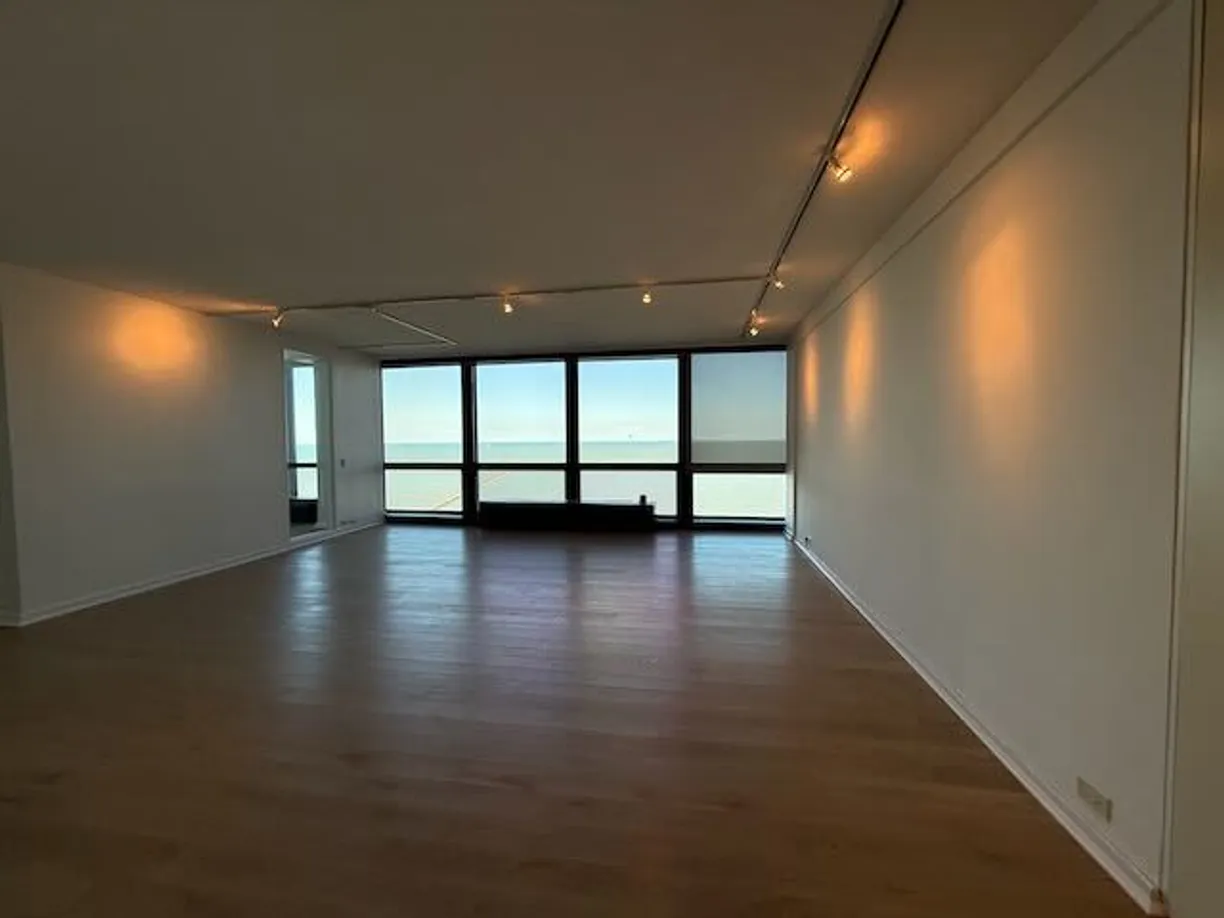 Chicago Real Estate | View 910 N Lake Shore Drive, 1819 | Listing