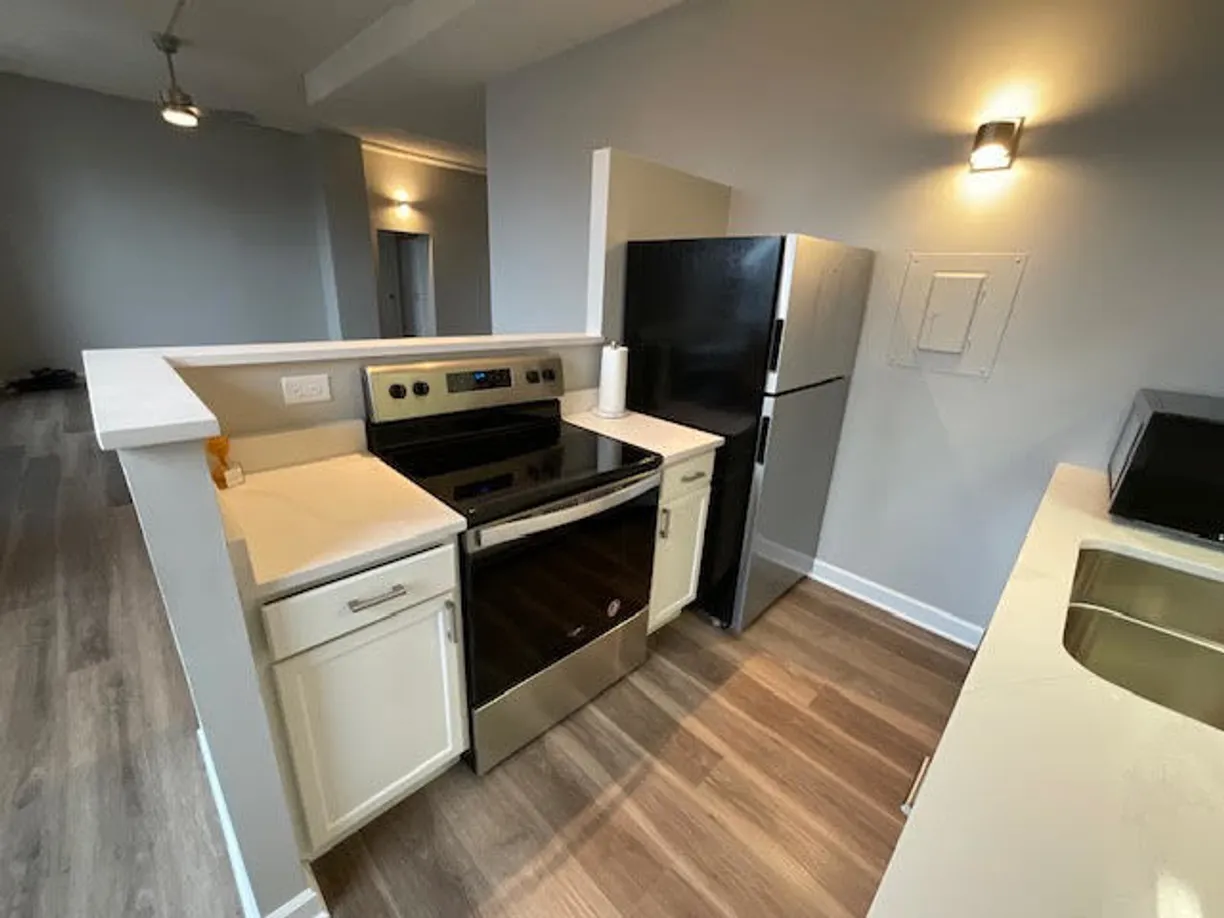 Chicago Real Estate | View 600 S Dearborn Street, 1603 | Listing
