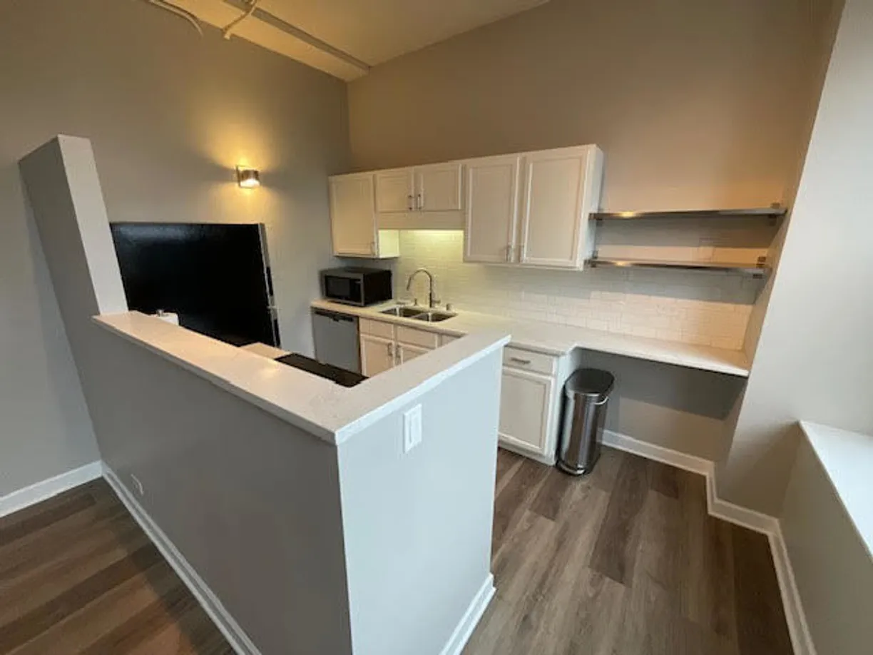 Chicago Real Estate | View 600 S Dearborn Street, 1603 | Listing