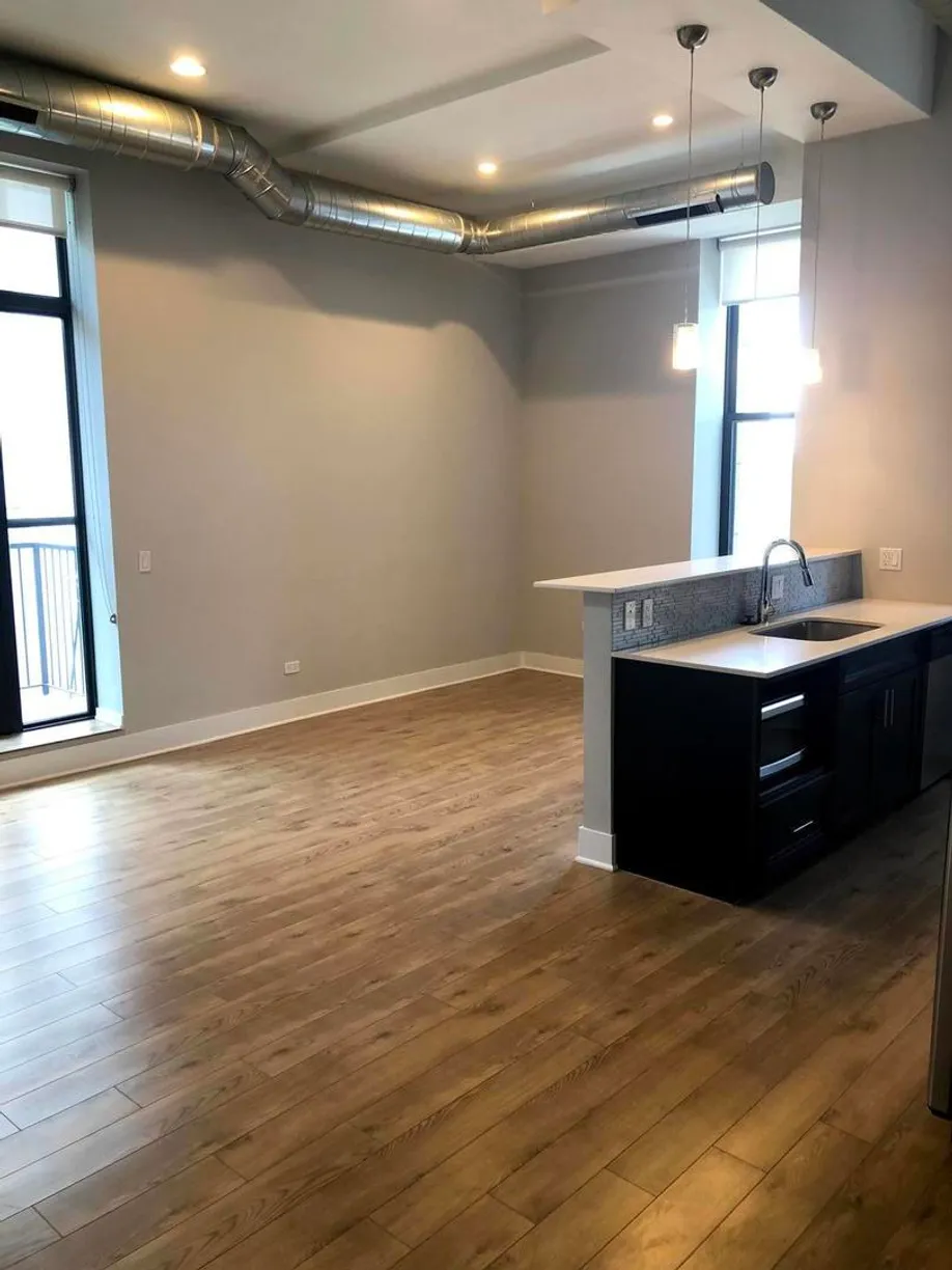 Chicago Real Estate | View 1338 S Michigan Avenue, 07 | Listing