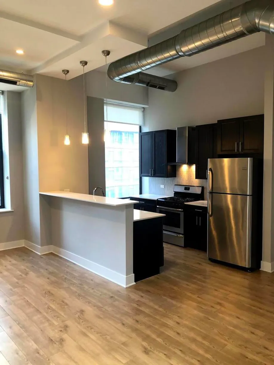 Chicago Real Estate | View 1338 S Michigan Avenue, 07 | Listing