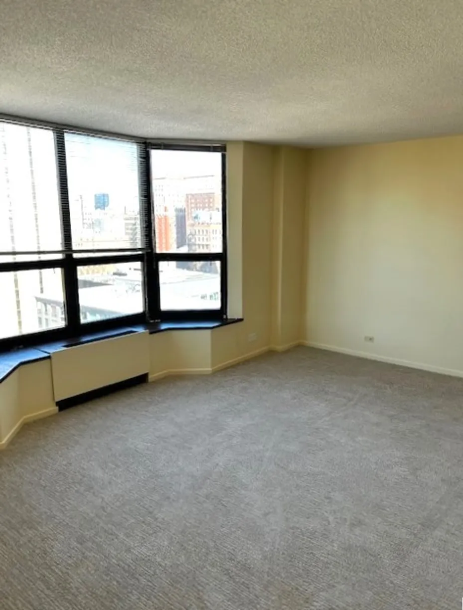 Chicago Real Estate | View 899 S Plymouth Court, 1710 | Listing
