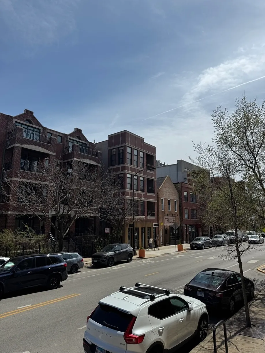 Chicago Real Estate | View 1948 N Damen Avenue | Listing