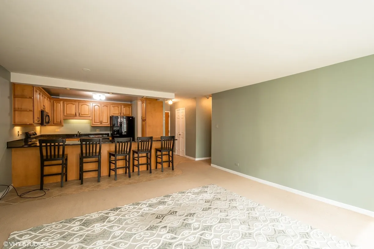 Chicago Real Estate | View 211 E Ohio Street, 1009 | Listing