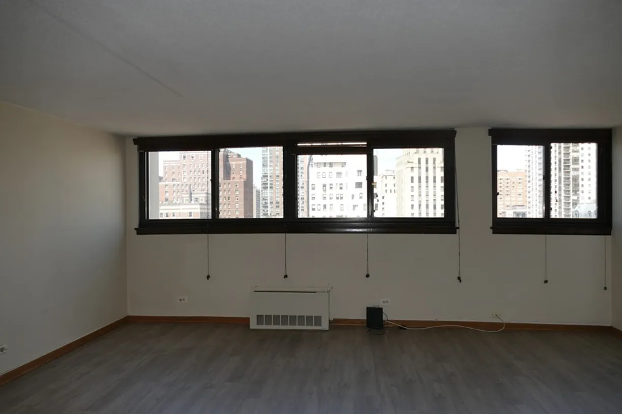 Chicago Real Estate | View 30 E Division Street, 10B | Listing