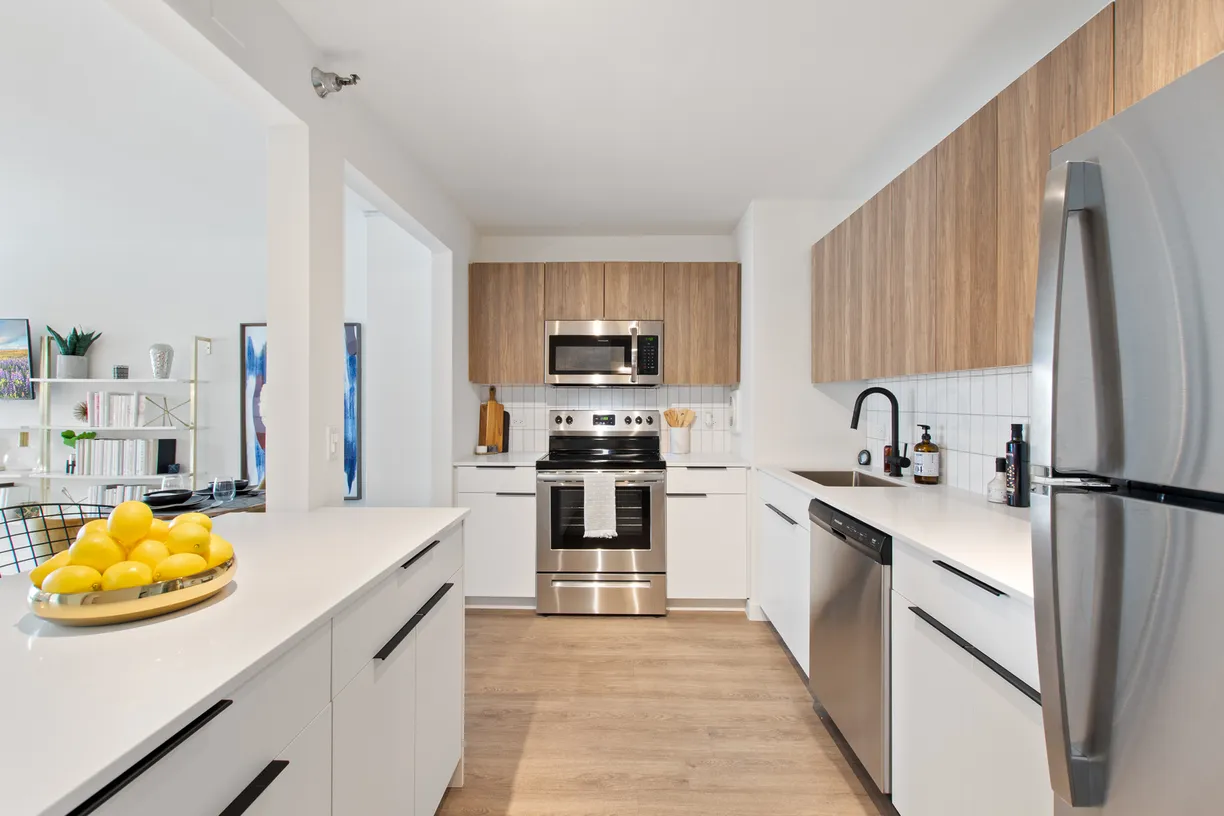 Chicago Real Estate | View 1250 N LaSalle Street, 1112 | Listing
