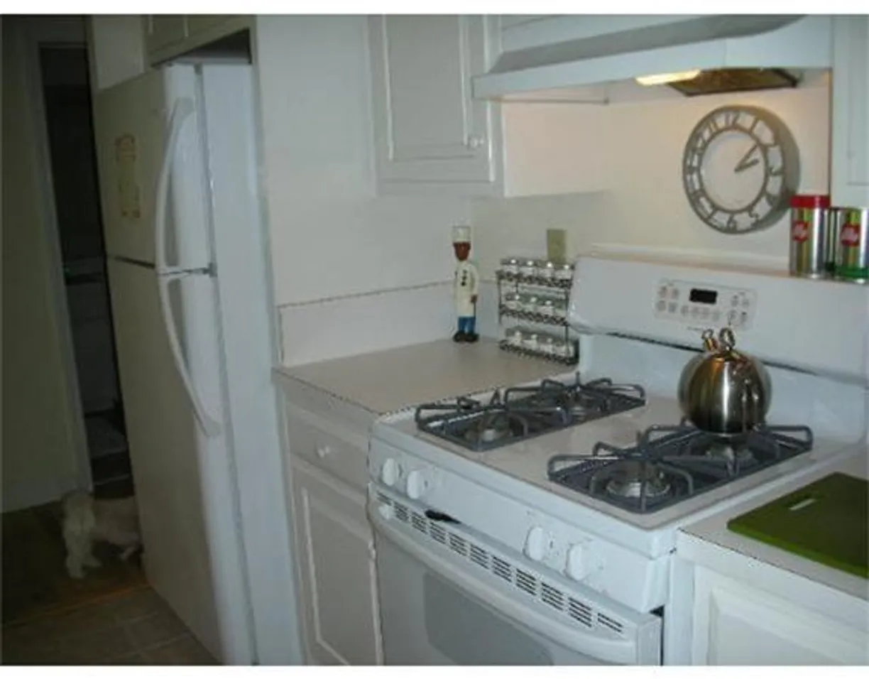Boston, MA Real Estate | View 227 Summit, 309 | Listing