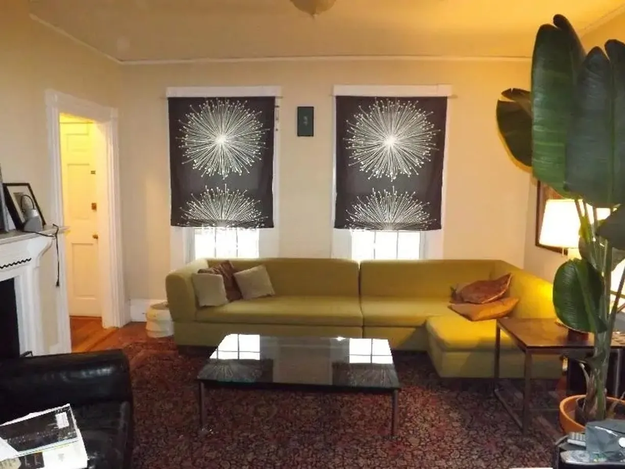 Boston, MA Real Estate | View 48 Teel St, 1 | 1 Bed