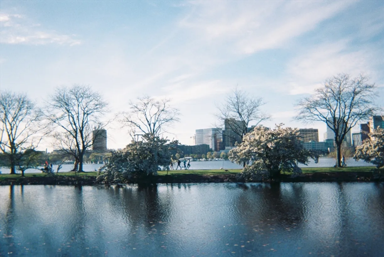 Boston, MA Real Estate | View 180 Commonwealth Ave, 20 | Listing