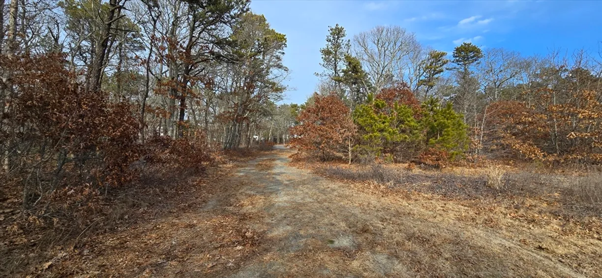 Boston, MA Real Estate | View 19 Elkannah Howland | Listing