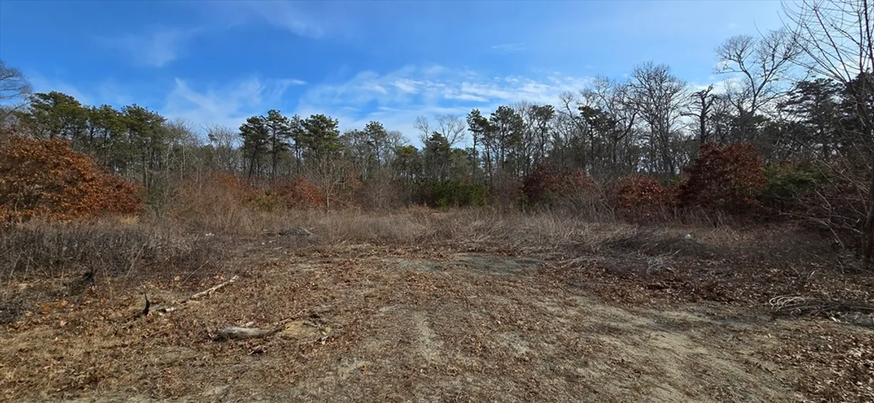 Boston, MA Real Estate | View 19 Elkannah Howland