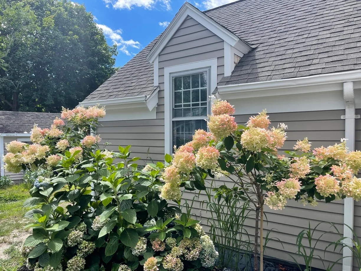 Boston, MA Real Estate | View 113 Briarwood Ave | 3 Beds, 2 Baths