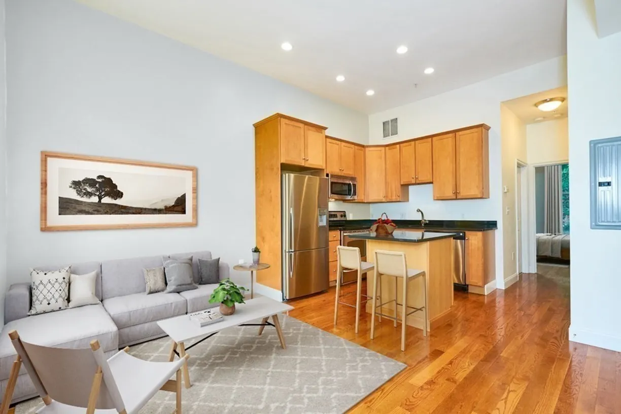 Boston, MA Real Estate | View 58 E Springfield Street, 3 | 2 Beds, 1 Bath