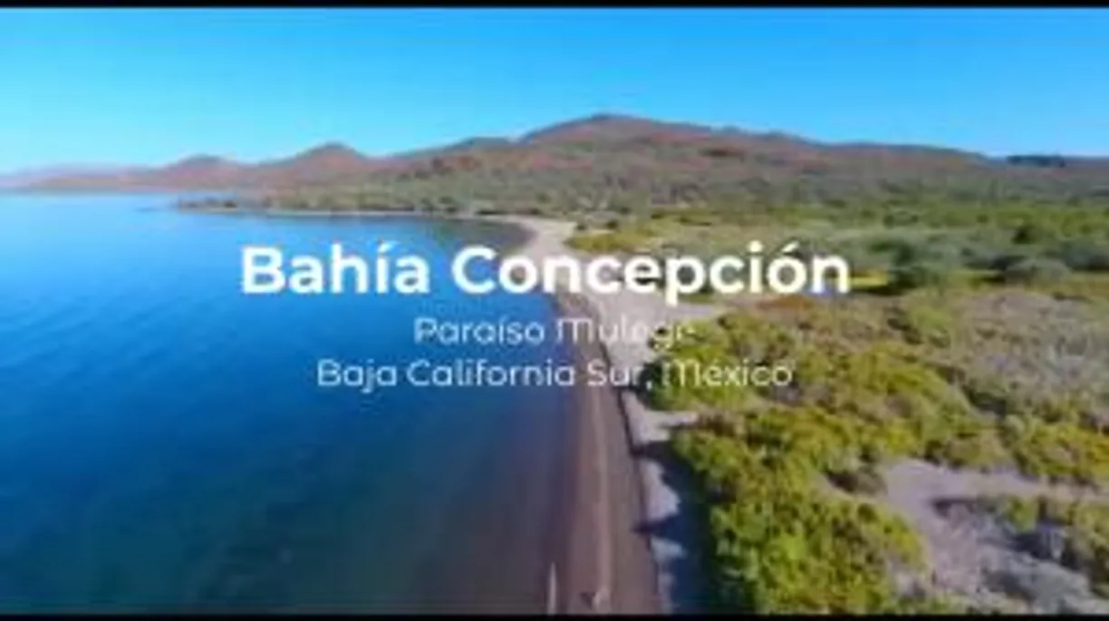 Los Cabos Real Estate | View BAHIA CONCEPCION | Listing