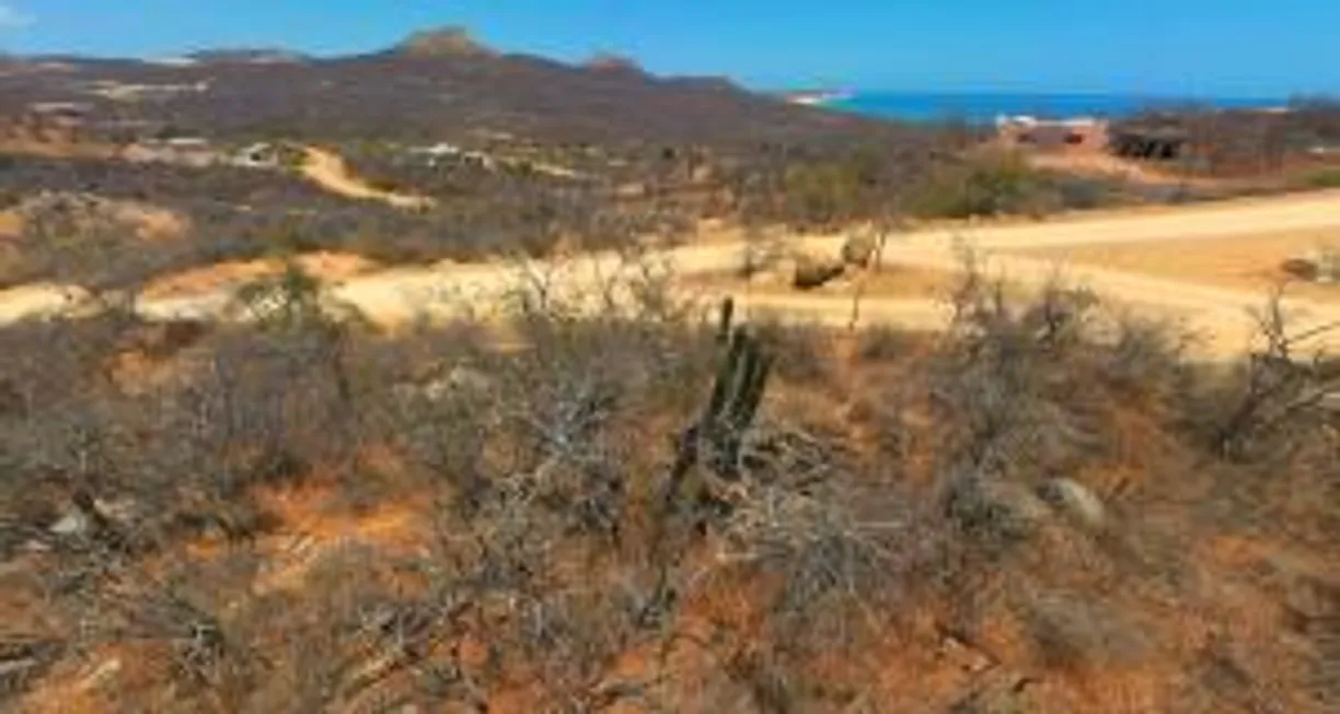Los Cabos Real Estate | View Lot 71 71