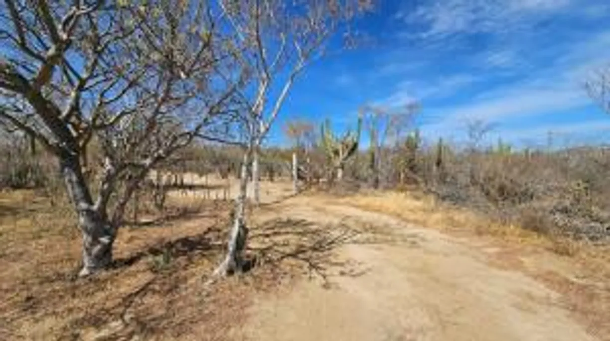 Los Cabos Real Estate | View El Tezal | Listing