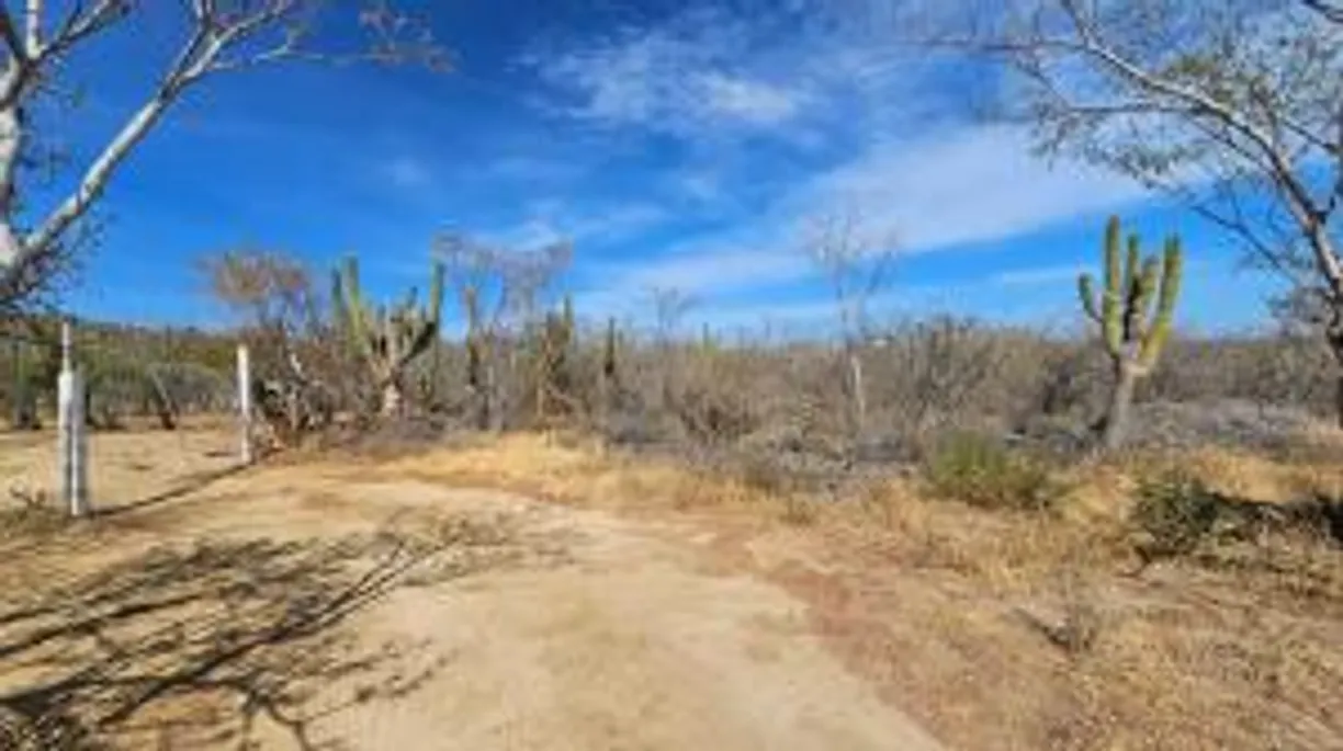 Los Cabos Real Estate | View El Tezal | Listing