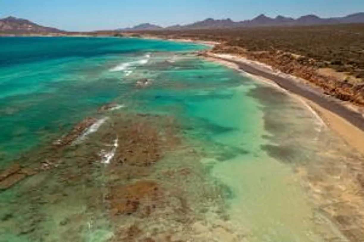 Los Cabos Real Estate | View Cabo Pulmo Beachfront Lots 5+6 | Listing