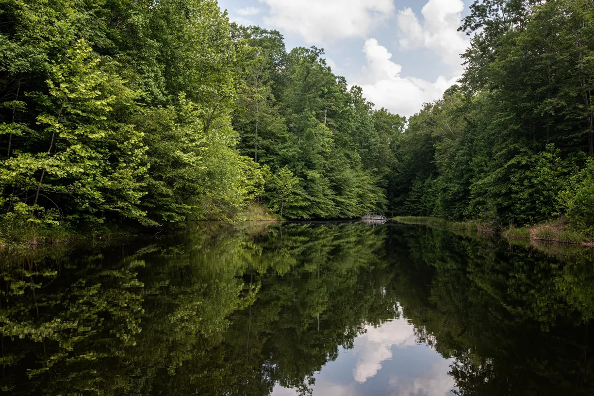 Nashville, TN Real Estate | View 5450 Old Hwy 96