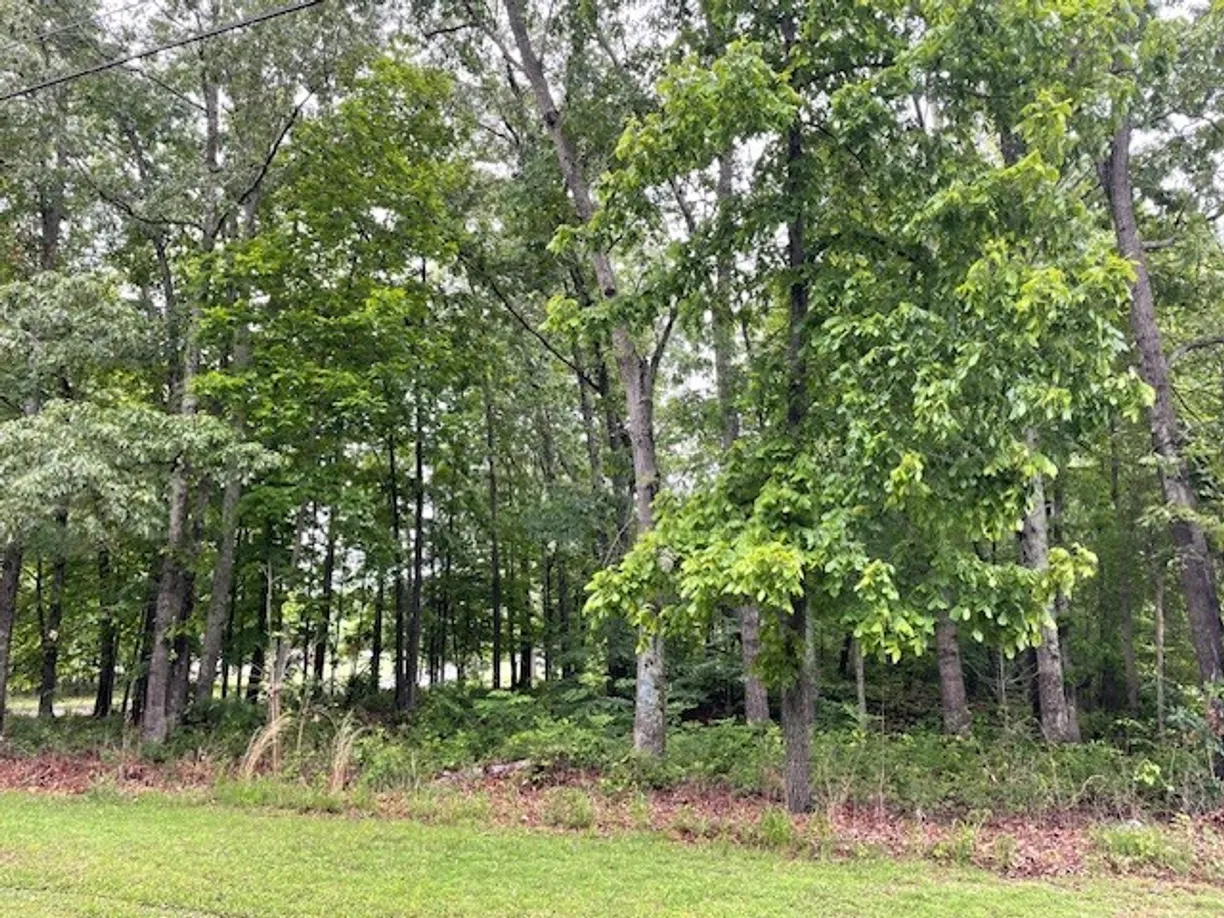 Nashville, TN Real Estate | View 2 Kings Lane
