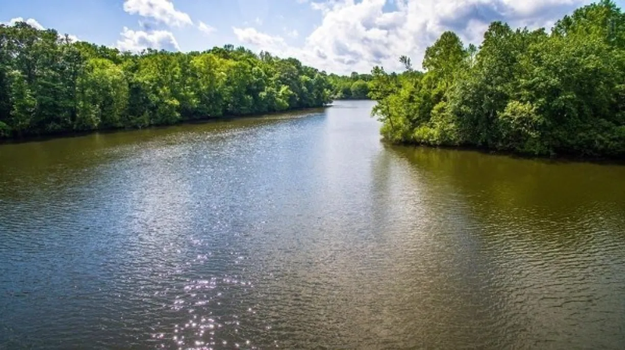 Nashville, TN Real Estate | View 151 Angels Cove Ln | Listing