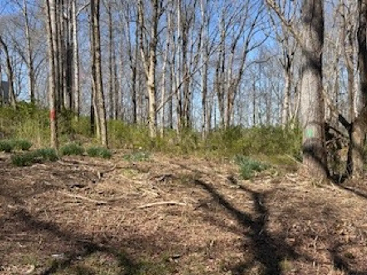 Nashville, TN Real Estate | View 0 Cross Creek Rd | Listing