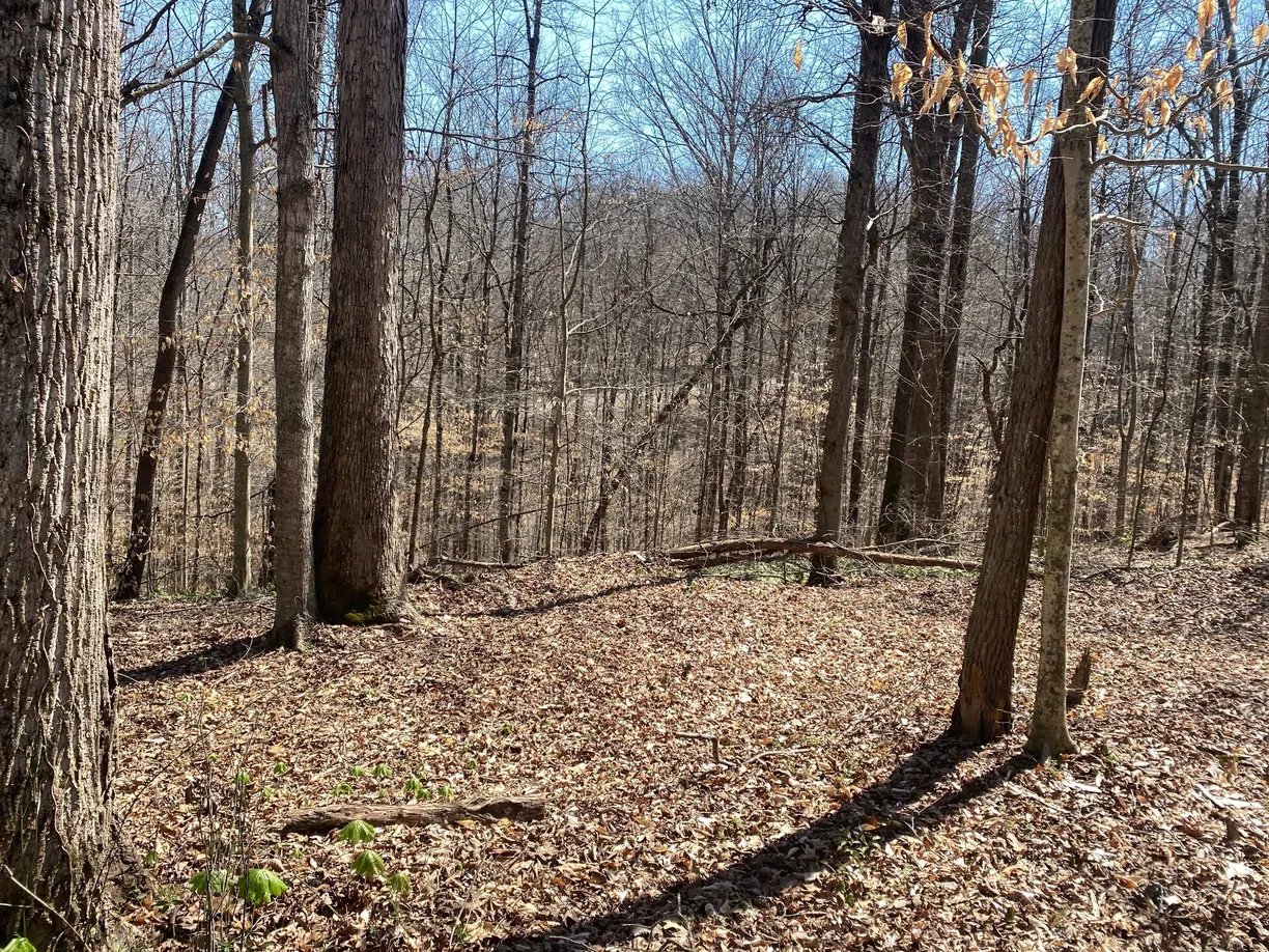 Nashville, TN Real Estate | View 0 Anderson Rd | Listing
